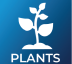 Plant icon