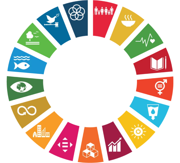 UN Sustainable Development Goals infographic circle