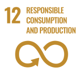 Responsible consumption UN Sustainable development goal 12