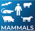 Mammals icon