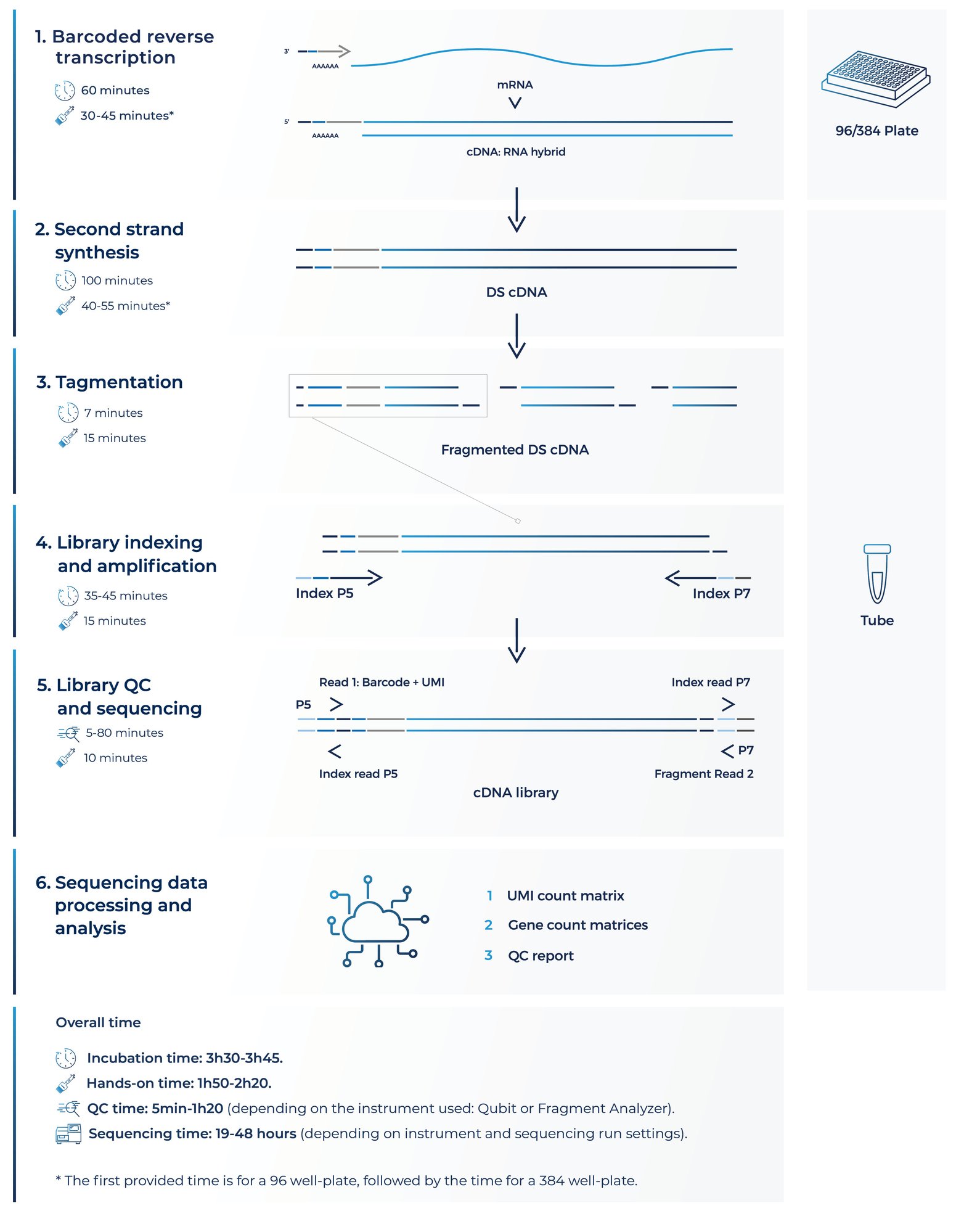 BRB-seq workflow-3-1 BRB-seq workflow-3-1