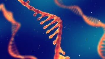 How does BRB-seq compare to SCRB-seq? image