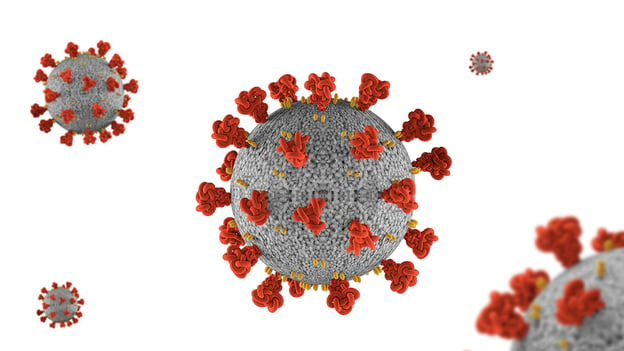 COVID-19 under the BRB-Seq microscope: A Tale of Two Coronaviruses image