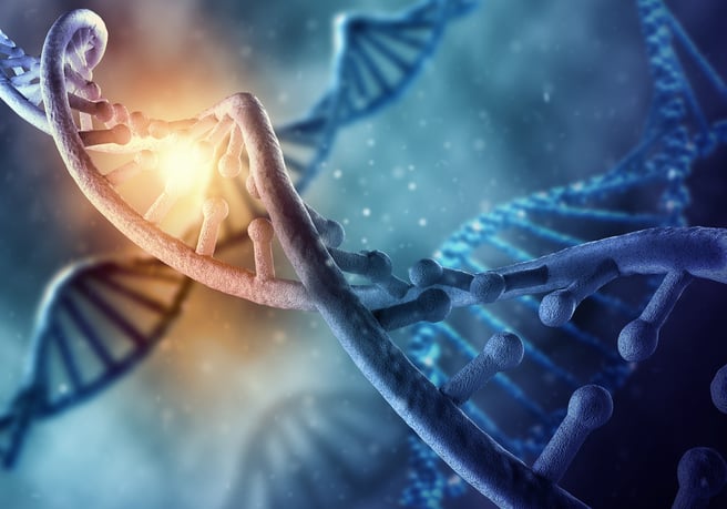 What Is FLASH-seq?
