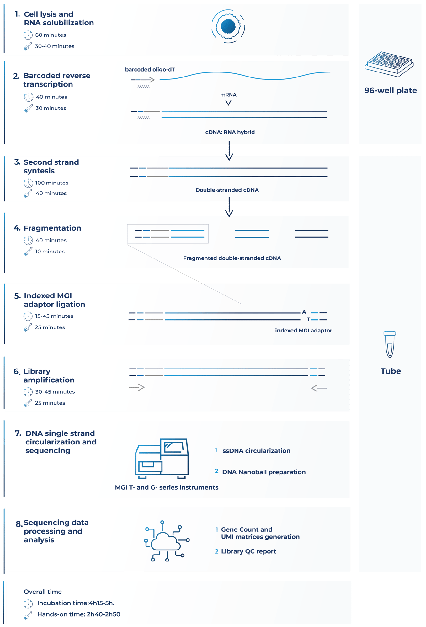 DRUG-seg MGI workflow-1 DRUG-seg MGI workflow-1