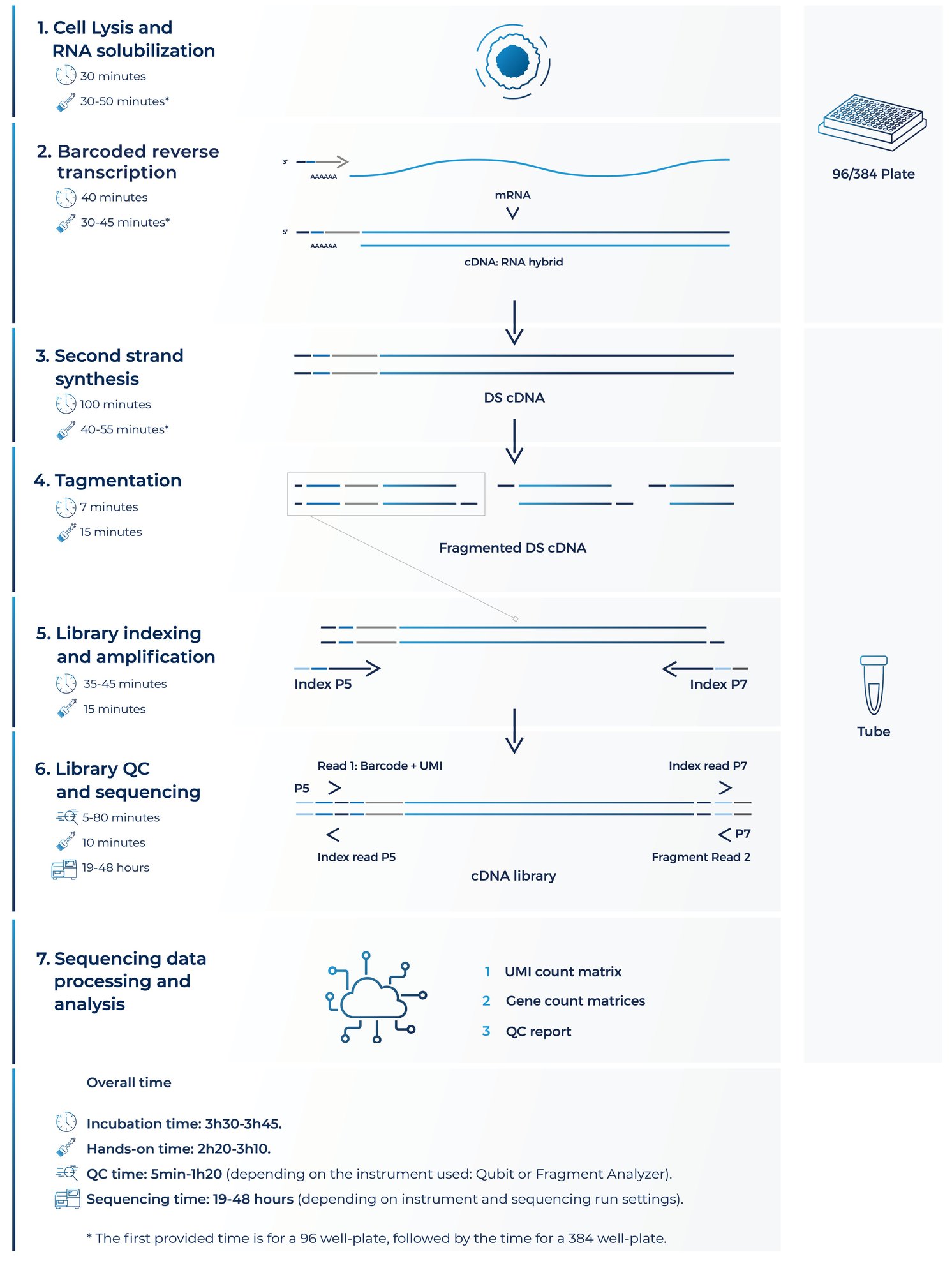 DRUG-seq wokflow-1-2 DRUG-seq wokflow-1-2