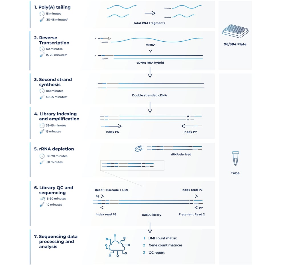 FFPE-seq workflow