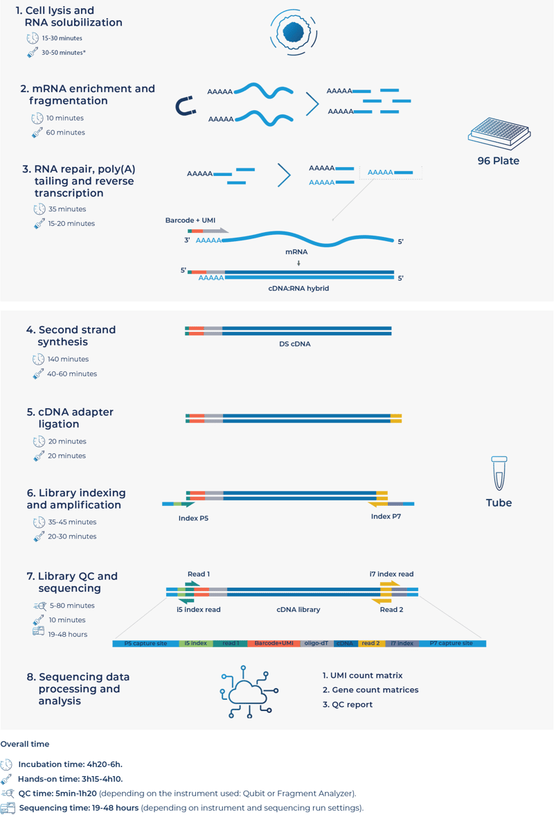 FL DRUG-seq@300x-50-1