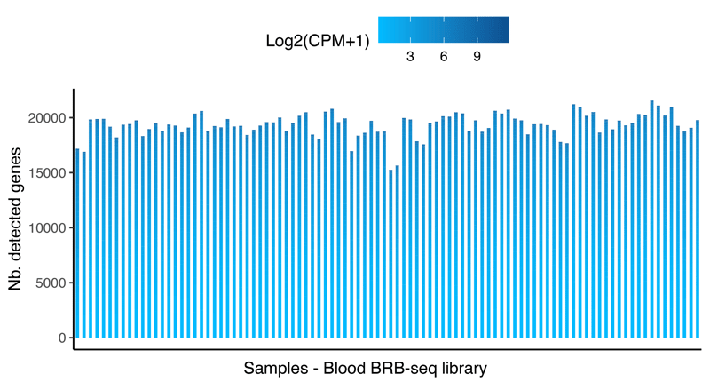 Genes per sample - Blood BRB-seq@500x