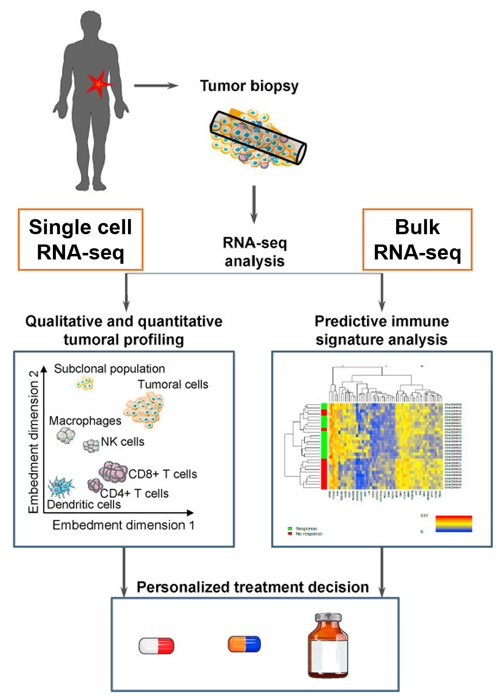 Single And Bulk RNA-seq Working Together To Boost Immuno-oncology