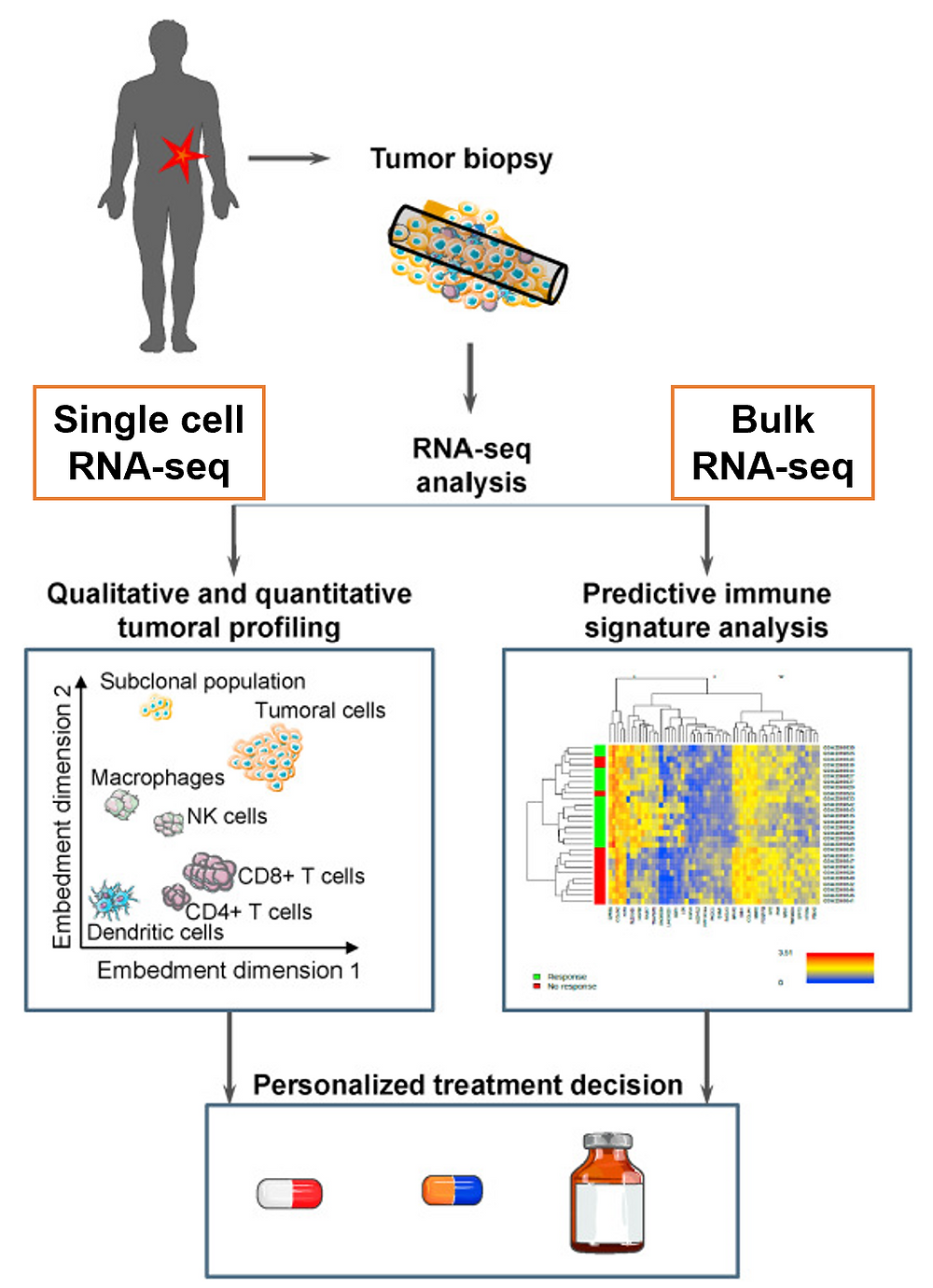 single cell compared to Bulk RNA-seq