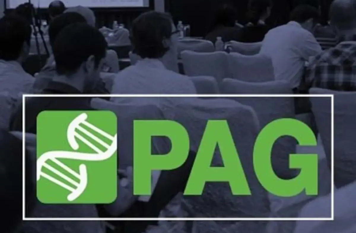 PAG-33-2026-San-Diego-USA-Exhibition-Stand-Builder-1200x1200-jpg