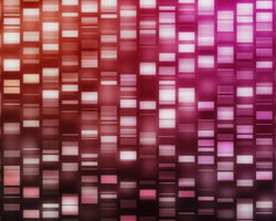 Challenges and Considerations in Bulk RNA-seq image