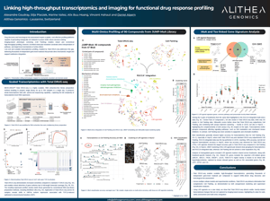 Screenshot 2026-03-03 at 16.49.40