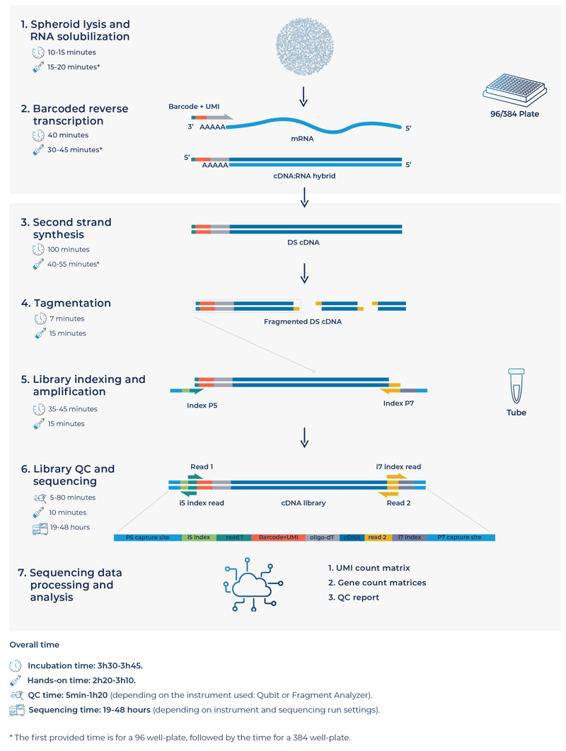 Spheriod DRUG-seq-1