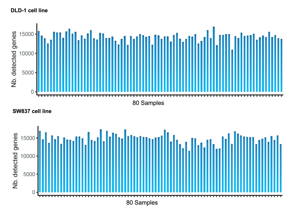 Spheroid DRUG-seq_gene detection