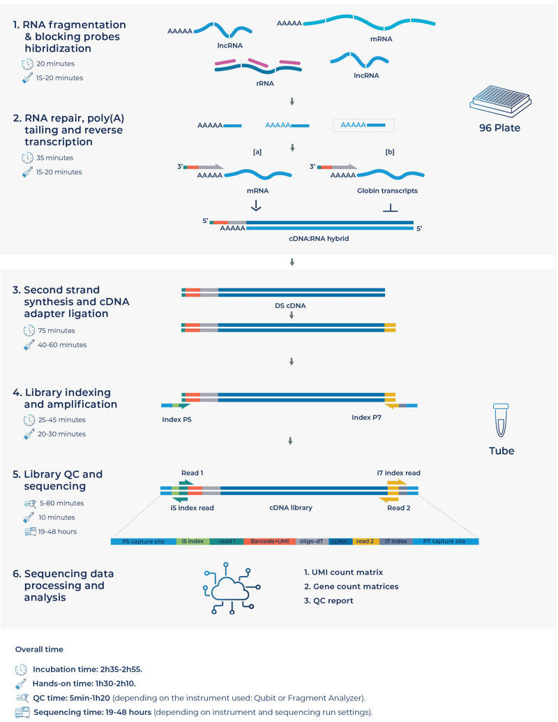 Total Blood BRB-seq-1