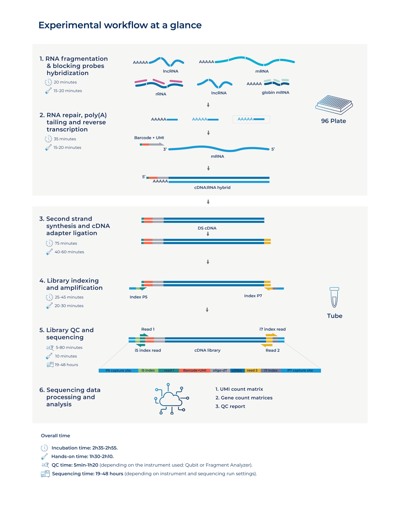 Total Blood BRB-seq-3