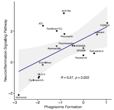 A graph showing the formation of phagosomal formation

AI-generated content may be incorrect.
