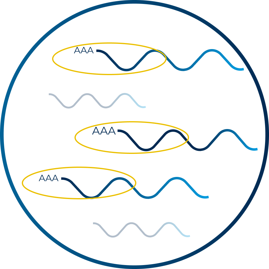 3-sequencing-icon