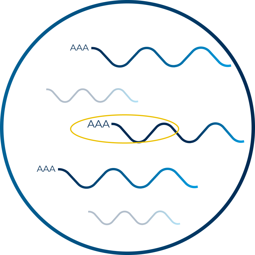 Targeted-sequencing-icon