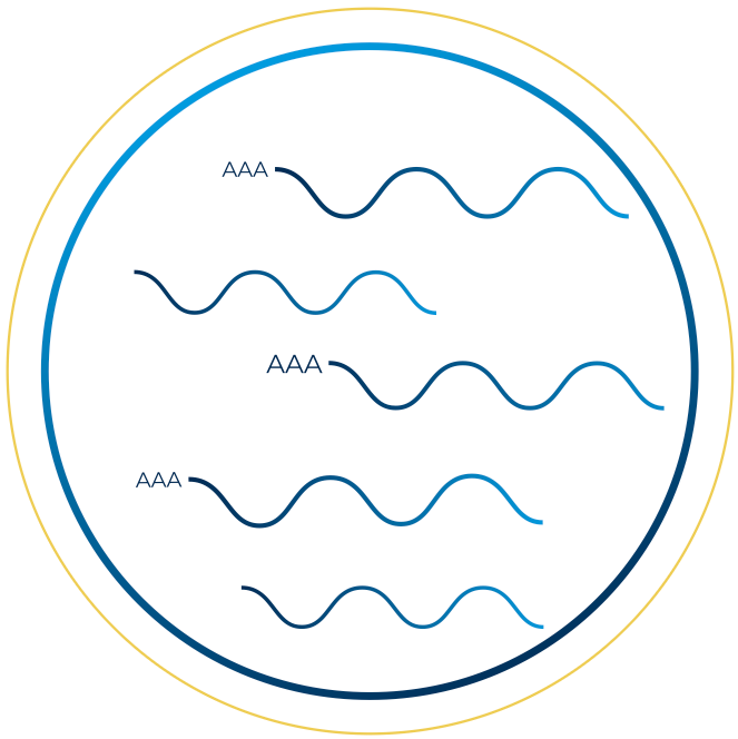 Screenshot 2025-04-10 at 15-15-45