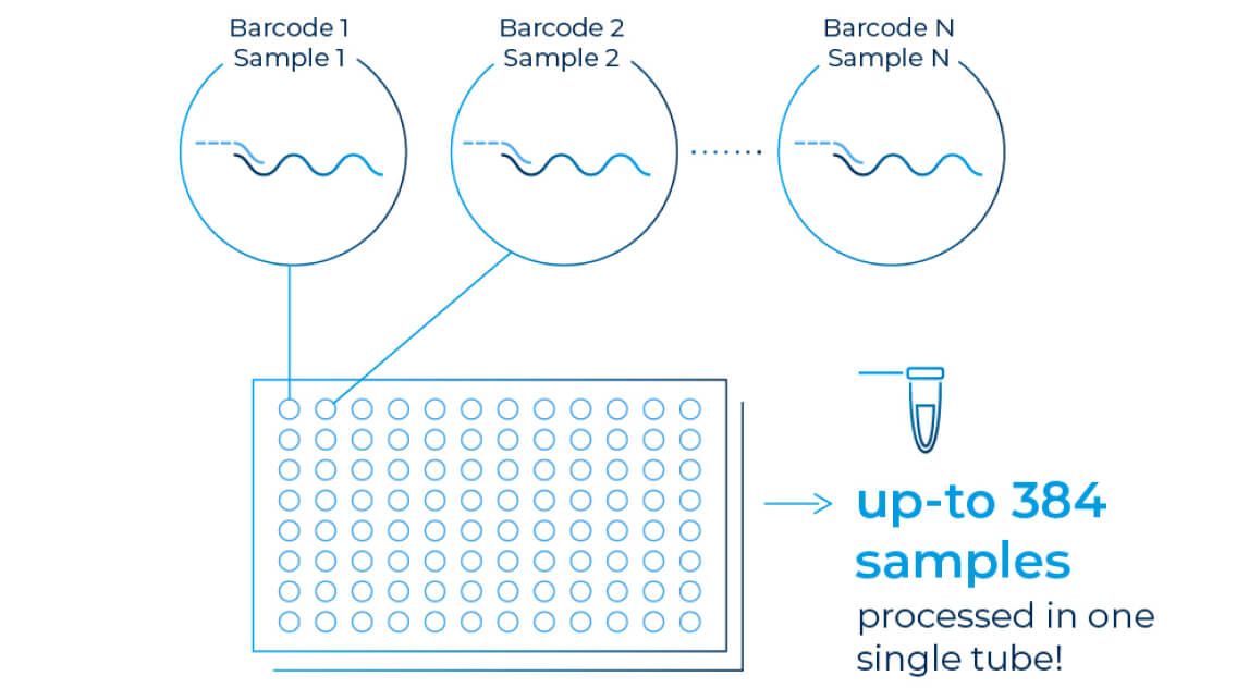 diagram-rna_samples@2x