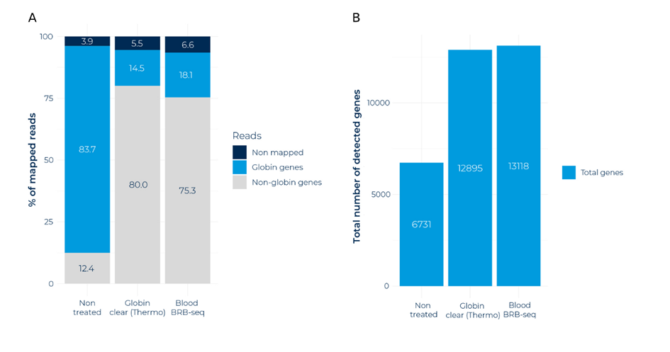 GLOBINclear™ and MERCURIUS™ Blood BRB-seq are highly effective at reducing globin transcripts