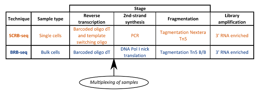 Multiplexing of samples