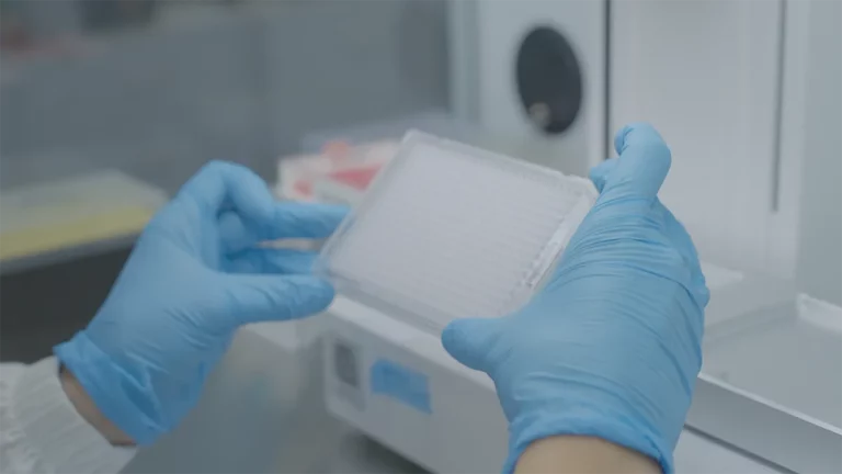 Alithea Genomics_Holding a qPCR plate